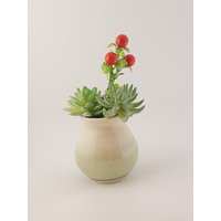 Kleine Grün-Beige Sukkulente Vase von TheLevantinePotter