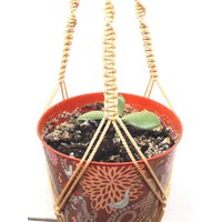 Beige Makramee Plant Aufhänger 24 Zoll 3mm - Hängen Blumentopf Indoor Outdoor Geschenk-Idee von TheMagicalNodules