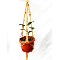 Beige Mini-Makrame Pflanzenhalter 18 Zoll 3 Mm Macrame Pflanzer Cinnamon Hängenden Planter Topf Flower Muster Indoor Oder Outdoor von TheMagicalNodules