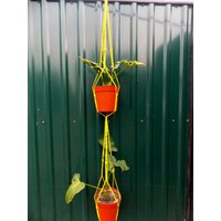 Gelb Doppelt Makramee-Pflanze-Aufhänger-60 Zoll 5mm - Hängen Blumentopf von TheMagicalNodules