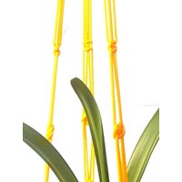 Gelb Macrame Pflanze Halter 36 Zoll 3mm - Hängen Blumentopf Makramee Wandschmuck von TheMagicalNodules