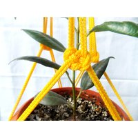 Gelb Makramee Pflanzenhalter - Blumenampel 24 Zoll 3mm Hängen Blumentopf Indoor Outdoor Geschenk-Idee Wandbehang von TheMagicalNodules