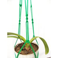 Grün Makramee Pflanze Aufhänger 36 Zoll 3mm - Hängen Blumentopf Halter Wand von TheMagicalNodules