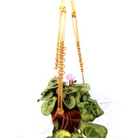 Hängeampel - Beige Makramee-Pflanze-Aufhänger-28 Pflanze Zoll 3 Mm Indoor Outdoor Geschenk-Idee Hängen von TheMagicalNodules