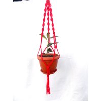 Indoor - Outdoor Rot Makramee Pflanze Topflappen Plant Aufhänger 24 Zoll 3mm Hängen Blumentopf Wandbehang Pflanzer Muster von TheMagicalNodules