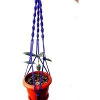 Lila Makramee Pflanze Topflappen - 24 Zoll 3mm Hängen Blumentopf von TheMagicalNodules
