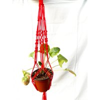 Mini Makramee Pflanze Aufhänger 18 Zoll 3 Mm Rot Hängeampel Wandbehang Muster Indoor Oder Outdoor-Ausstattung Geschenk-Idee-Blumentopf von TheMagicalNodules