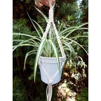 Mini Makramee Pflanze Aufhänger Baumwollseil Pflanzer Kleine Hängeampel Indoor Oder Outdoor-Anlage Topflappen Boho Hause Blumentopf von TheMagicalNodules
