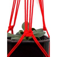 Rote Mini Makramee Pflanze Aufhänger 18 Zoll 3 Mm - Hängeampel Indoor Outdoor Geschenk Idee Fenster Dekor Wandbehang Muster von TheMagicalNodules