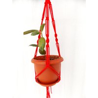 Rote Pflanze Hängen Makramee Aufhänger 20 Zoll 3mm Wandbehang Blumentopf Geschenk Idee Fenster Schnur Indoor Oder Outdoor-Dekoration Rote Pflanze Hängen Makramee Aufhänger 20 Zoll 3mm Wandbehang Blumentopf Geschenk Idee Fenster Schnur Indoor Oder Outdoor-Dekoration von TheMagicalNodules