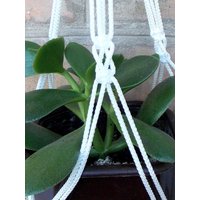 Weiße Mini-Anlage Hängende Macrame Pflanzbügel 20 Zoll 3mm Innen-Oder Außendekoration Hängebauer Hängenden Blumentopf von TheMagicalNodules