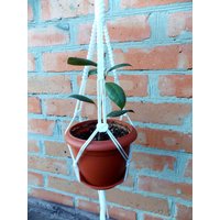 Weiße Mini Makramee Pflanze Aufhänger 18 Zoll 3mm Topf Hängen Blumentopf Wand Indoor Oder Outdoor-Dekor Fenster Schnur Pflanzer Blumenmuster von TheMagicalNodules