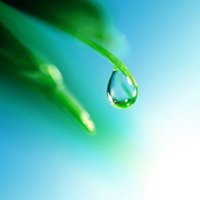 Regenwasser Regenwasser von TheMilkyWayCandleCo