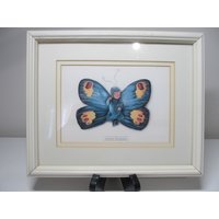 Vintage 1999 Ann Geddes Carlin As Blue Butterfly Baby Bild Mit Rahmen Circa von ThePJCompany