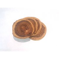 Holzuntersetzer 4Er Set | Trinkmatte Benutzerdefiniertes Rustikales Geschenk Aus Holz Personalisierte Baumscheiben Tischdekoration Dekor von ThePetrifliedWood