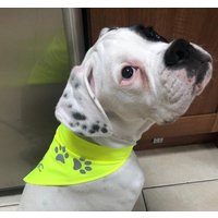 Hundehalstuch. Hunde Sicherheitshalstuch Mit Hoher Sichtbarkeit Im Pfotenabdruck-Design. Hund Hals Gewandung. Warnschutz Outdoorbekleidung von ThePoshPawsCompany
