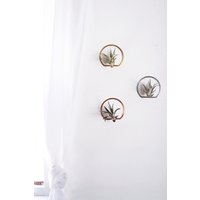 Bogen Rahmen Air Plant Wandhalter | Luftpflanzenhalter Luftpflanzenaufhänger Luftpflanze Übertopf Luftpflanzen Aufhänger Anzeigen Bogen Rahmen Air Plant Wandhalter | Luftpflanzenhalter Luftpflanzenaufhänger Luftpflanze Übertopf Luftpflanzen Aufhänger Anzeigen von TheRareBirdCo