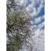 Intuitive Lektüre//Geistige Führung von TheSeventhSeer