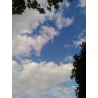 Traumdeutung Lesung von TheSeventhSeer