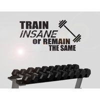 Trainiere Insane Or Remain The Same - Motivation Wandaufkleber Zeitgenössisch Vinyl Aufkleber Gym Fitness Trainiere Insane Or Remain The Same - Motivation Wandaufkleber Zeitgenössisch Vinyl Aufkleber Gym Fitness von TheStickerStop