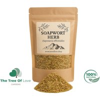 Seifenkraut Kraut | Saponaria Officinalis Getrocknete Kräuter Kräutertee Pflanzliche Produkte Großkraut Heilmittel von TheTreeOfLoveHerba