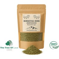 Shavegrass Kraut | Acker-Schachtelhalm -Schachtelhalm Tee Pferdekopf Braun Getrockneter Kräutertee 100% Rein Pflanzliche Heilmittel von TheTreeOfLoveHerba