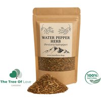 Wasserpfeffer Kraut | Persicaria Hydropiper Getrocknete Kräuter Kräutertee Pflanzliche Produkte Großkraut Heilmittel von TheTreeOfLoveHerba