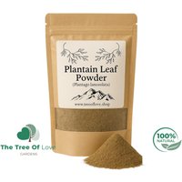 Wegerichblätterpulver | Plantago Lancoelata Getrocknete Kräuter Kräutertee Pflanzliche Produkte Großkraut Pflanzliches Heilmittel von TheTreeOfLoveHerba