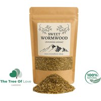 Artemisia Annua Tee | Süsser Wermut Süße Annie Qinghaosu Kraut Pflanzliche Heilmittel von TheTreeOfLoveHerba