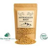 Astragal Wurzel | Astragalus Häubchen Getrocknete Kräuter Kräutertee Pflanzliche Produkte Großkraut Heilmittel von TheTreeOfLoveHerba