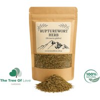 Bruchwurz | Kraut Hernaria Glabra Getrocknete Kräuter Kräutertee Pflanzliche Produkte Großkraut Heilmittel von TheTreeOfLoveHerba