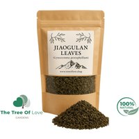 Jiaogulan Tee | Blätter Gynostemma Pentaphyllum Getrocknete Kräuter Kräutertee Pflanzliche Produkte Schütt Kraut von TheTreeOfLoveHerba