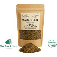 Walnussblatt | Walnussblätter Tee Juglans Regia Folia Getrocknete Kräuter Kräutertee Pflanzliche Produkte Großer Kraut von TheTreeOfLoveHerba