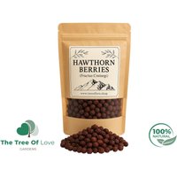 Weißdorn | Beere Crataegus Monogyna Getrocknete Kräuter Kräutertee Pflanzliche Produkte Großkraut Heilmittel von TheTreeOfLoveHerba