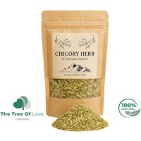 Chicory Kraut | Cichorium Intybus Herba Getrocknete Kräuter Kräutertee Pflanzliche Produkte Großkraut Pflanzliches Heilmittel von TheTreeOfLoveHerba