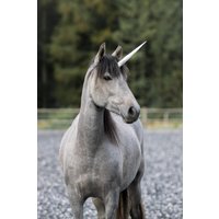 Ice Einhornhorn - Mit Abnehmbarer Basis von TheUnicornMaker