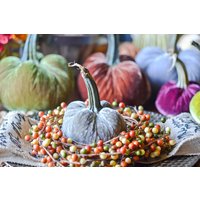 1 Kleiner Latte Samt Kürbis, Herbst Dekor, Tischdekoration, Hausgemachte Rustikale Dekoration 1 Kleiner Latte Samt Kürbis, Herbst Dekor, Tischdekoration, Hausgemachte Rustikale Dekoration von TheVelvetHarvest