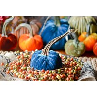1 Kleiner Petrol Blau Seidensamt Kürbis, Herbst Dekor, Tischdekoration, Hausgemachte Rustikale Dekoration 1 Kleiner Petrol Blau Seidensamt Kürbis, Herbst Dekor, Tischdekoration, Hausgemachte Rustikale Dekoration von TheVelvetHarvest