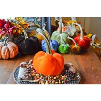 Seidensamt Kürbis in Sunset Orange, Echter Stamm, Größe L, Herbst Dekor, Tischdekoration, Thanksgiving, Handgemachte Rustikale Dekoration von TheVelvetHarvest