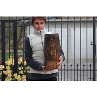 Antiker Nussbaum-Holzmörser Mit Metallring - Primitives Dekor Antiker Nussbaum-Holzmörser Mit Metallring - Primitives Dekor von TheVintageAmerica