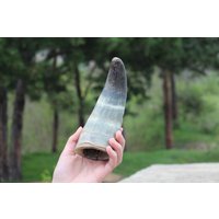 Vintage Kuhhorn 60Er Jahre Cowboy Dekor, Viking Craft Versorgung von TheVintageAmerica