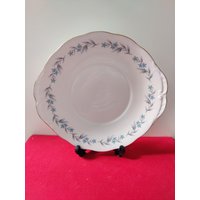 Royal Vale Kuchen Teller - 1960Er Jahre Servierplatte, Blaue Blumenmuster von TheVintageTeaShoppe