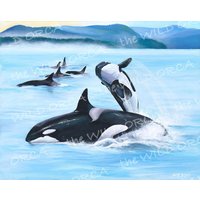 Hoffnung - Limited Edition Orca Kunstdruck von TheWildOrca
