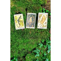 Woodland Warden, Kartenlegung, Intuitive Orakel Karten Woodland Warden, Kartenlegung, Intuitive Orakel Karten von TheWildwoodWitch