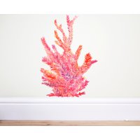 Rosa Koralle Rosa Koralle von TheWoodlandHaven