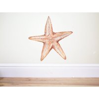 Wandtattoo Seestern, Meerjungfrau, Wanddeko Wandtattoo Seestern, Meerjungfrau, Wanddeko von TheWoodlandHaven