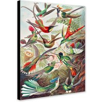 Kolibri - Vintage Wand Kunst Gewickelte Gerahmte Leinwand Foto/Poster Druck von TheWorldArtPrintCo