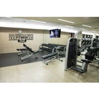 Fitness Gym Wandkunst, Aufkleber, Selbstklebend, Moderne Übertragung, Dekoration, Aufkleber Fitness Gym Wandkunst, Aufkleber, Selbstklebend, Moderne Übertragung, Dekoration, Aufkleber von TheWorldOfWallArt