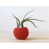 Luftpflanzenhalter | Sukkulenten Übertopf, Kaktus Mini Blumenvase, Moderner Geschenk Für Sie, Einweihungsparty von TheYarnKitchenHome