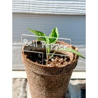 Benutzerdefinierte Gartenstecker, Acryl Gemüse - Und Kräutermarkierer, Geschenk Für Gärtnerin, Muttertag, Housewarming, Gartenetiketten von ThebaHandmade